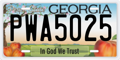 GA license plate PWA5025