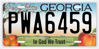 GA license plate PWA6459