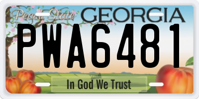 GA license plate PWA6481