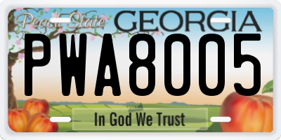 GA license plate PWA8005