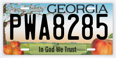 GA license plate PWA8285