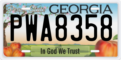 GA license plate PWA8358