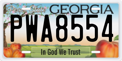 GA license plate PWA8554