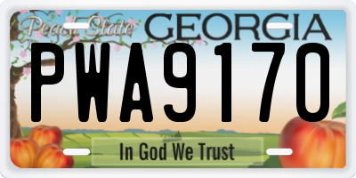 GA license plate PWA9170