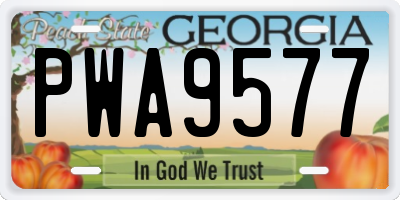 GA license plate PWA9577
