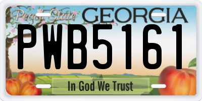 GA license plate PWB5161