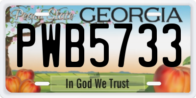 GA license plate PWB5733