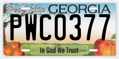 GA license plate PWC0377