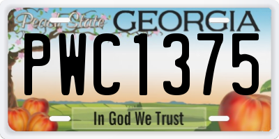 GA license plate PWC1375