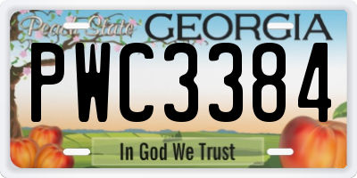 GA license plate PWC3384