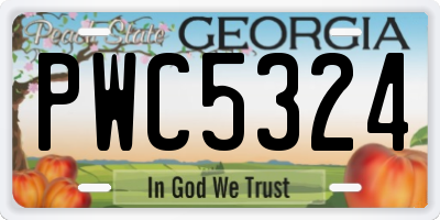 GA license plate PWC5324