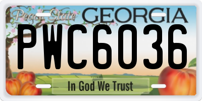 GA license plate PWC6036