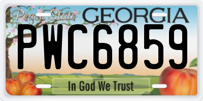 GA license plate PWC6859