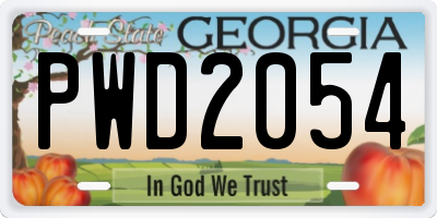 GA license plate PWD2054
