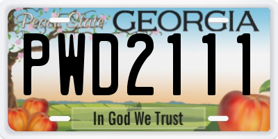 GA license plate PWD2111