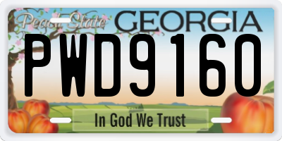 GA license plate PWD9160