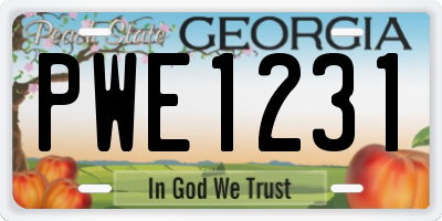 GA license plate PWE1231