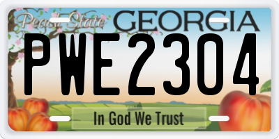 GA license plate PWE2304