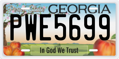 GA license plate PWE5699