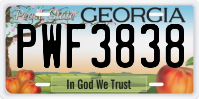 GA license plate PWF3838