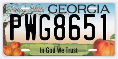 GA license plate PWG8651