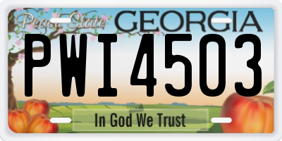 GA license plate PWI4503