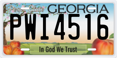 GA license plate PWI4516