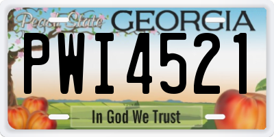 GA license plate PWI4521