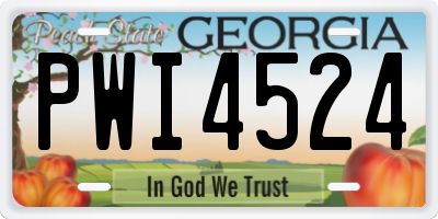 GA license plate PWI4524