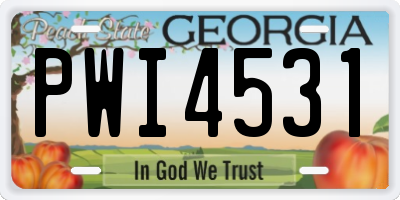 GA license plate PWI4531