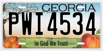 GA license plate PWI4534