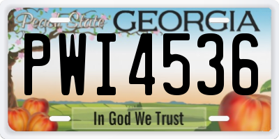 GA license plate PWI4536