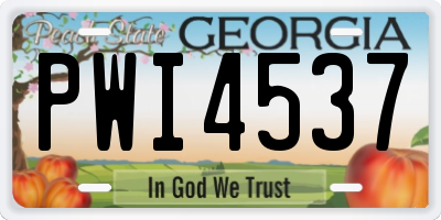 GA license plate PWI4537