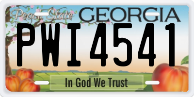 GA license plate PWI4541