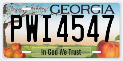 GA license plate PWI4547
