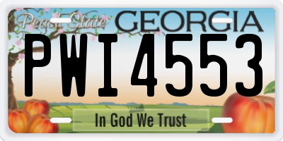 GA license plate PWI4553