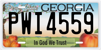 GA license plate PWI4559