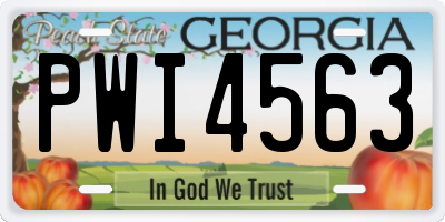 GA license plate PWI4563