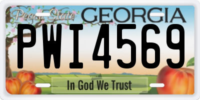GA license plate PWI4569