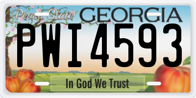GA license plate PWI4593