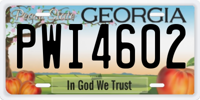 GA license plate PWI4602