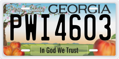 GA license plate PWI4603