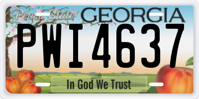 GA license plate PWI4637