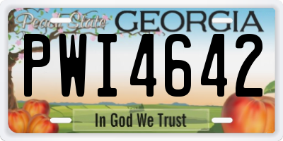 GA license plate PWI4642