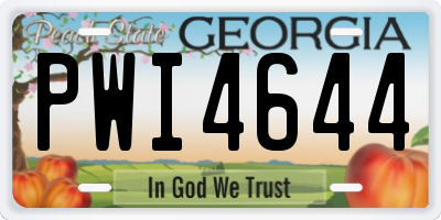 GA license plate PWI4644