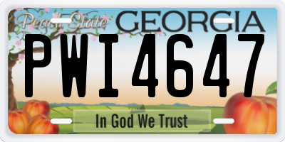 GA license plate PWI4647