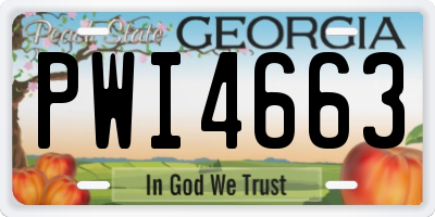 GA license plate PWI4663