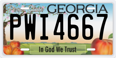 GA license plate PWI4667