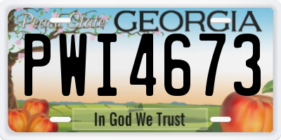 GA license plate PWI4673