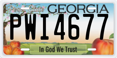 GA license plate PWI4677